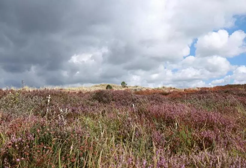 Aamiaismajoitus (B&B) Hoeve Te Gast   Vakantieboerderij
