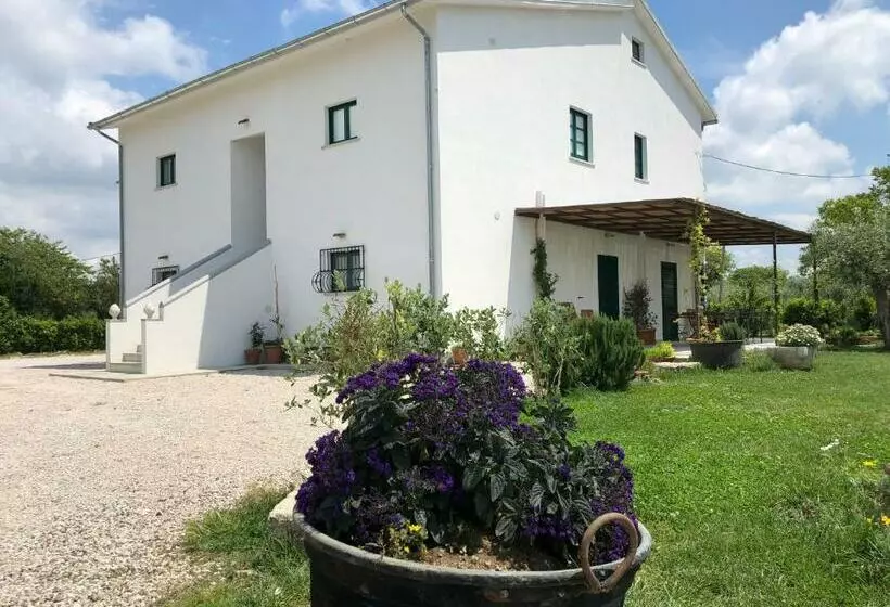 ホテル Casa Agricola Scorziello
