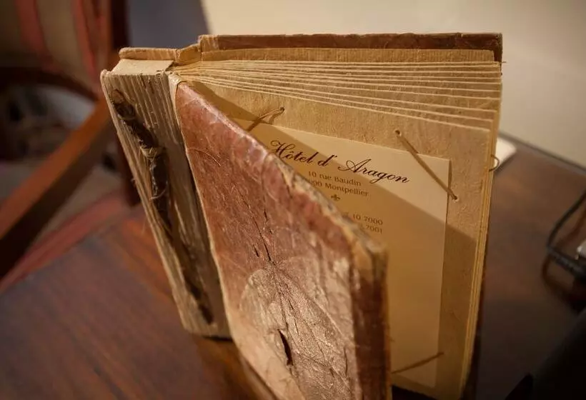 Hotel D Aragon   Place De La Comédie