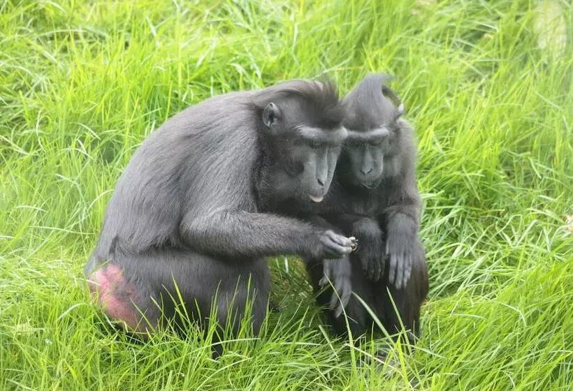 호텔 Drayton Manor