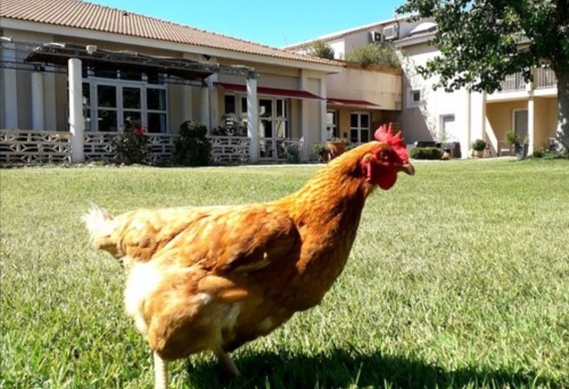 酒店 Hôtel Le Mas Des Ponts D Arles