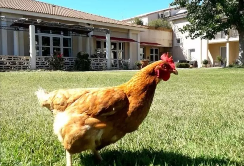 호텔 Hôtel Le Mas Des Ponts D Arles