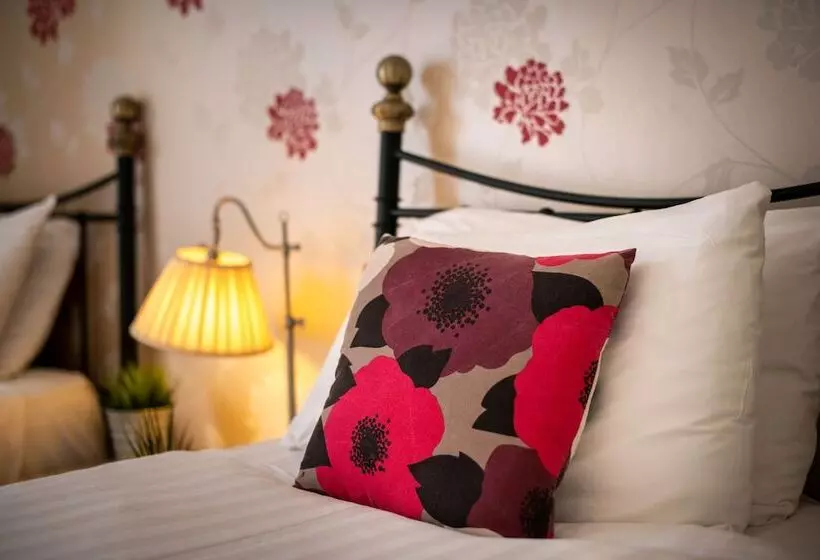 هتل The Alexander