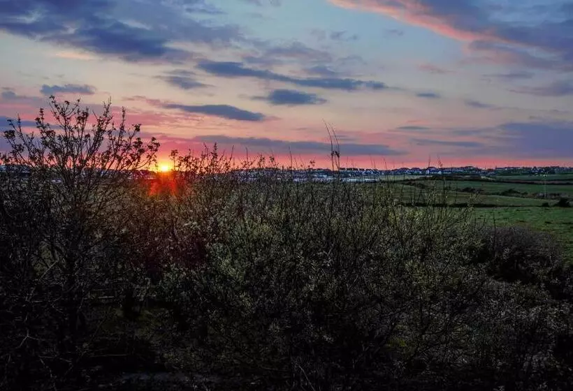 ベッドアンドブレックファースト Bluetit Lodge