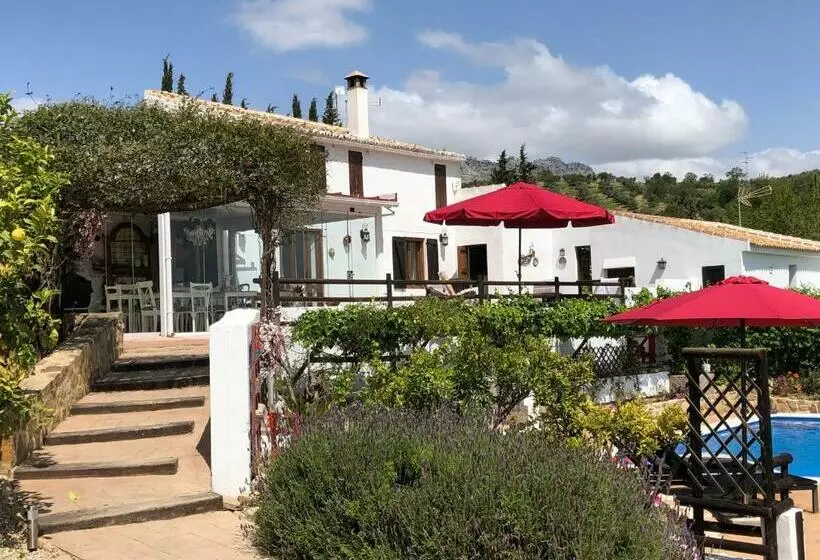 تختخواب و صبحانه Finca Amorosa