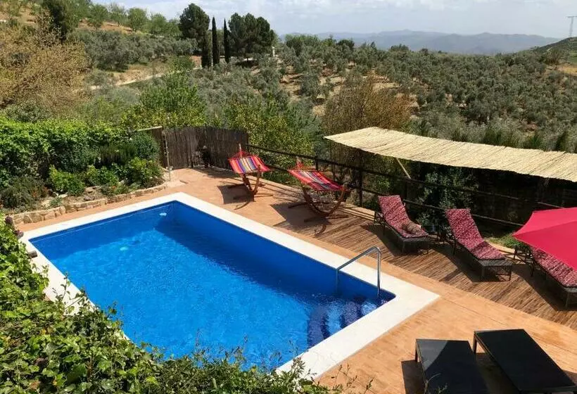 تختخواب و صبحانه Finca Amorosa