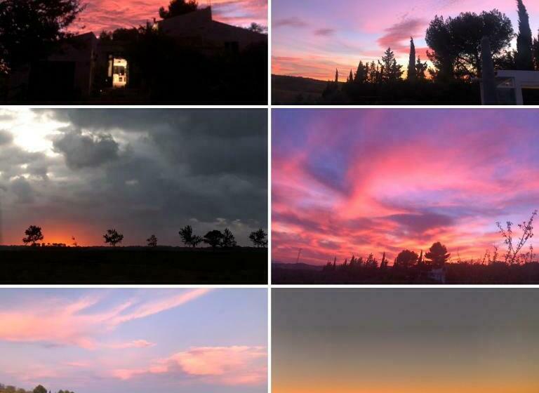 צימר Finca Amorosa