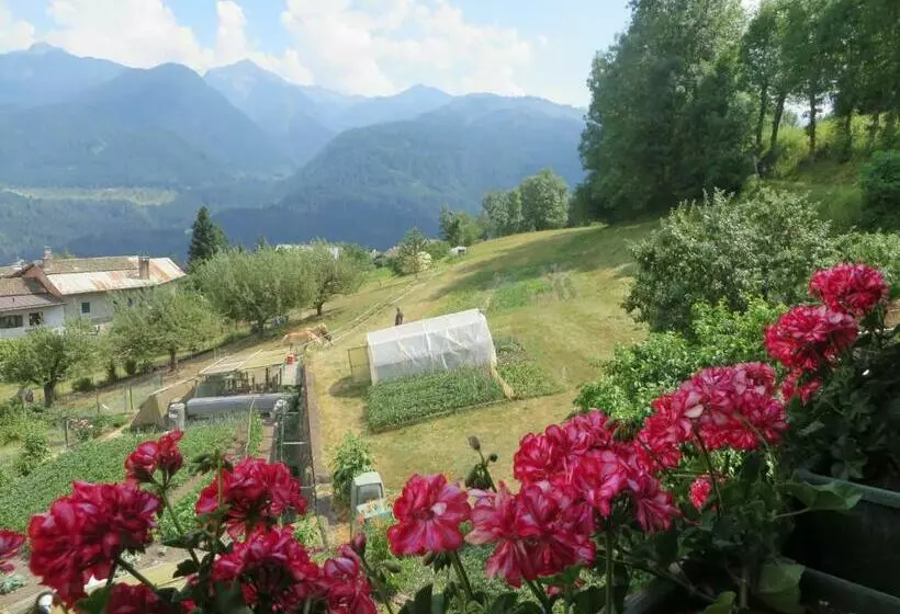 ベッドアンドブレックファースト La Cesura