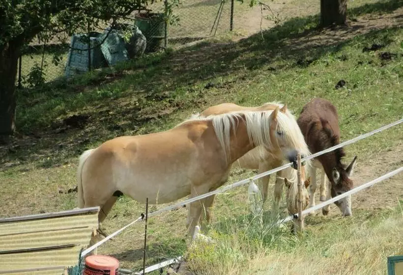 ベッドアンドブレックファースト La Cesura