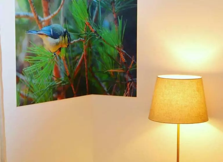 Monte Da Floresta B&b