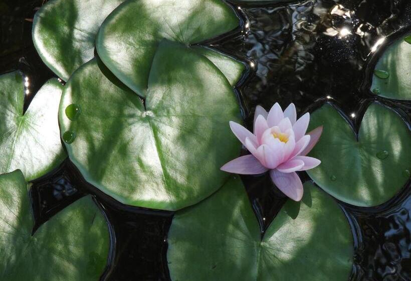 پانسیون Ca  Mira   Room&breakfast