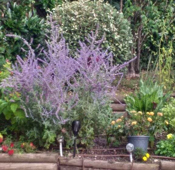 膳宿费 Le Jardin De Josseline