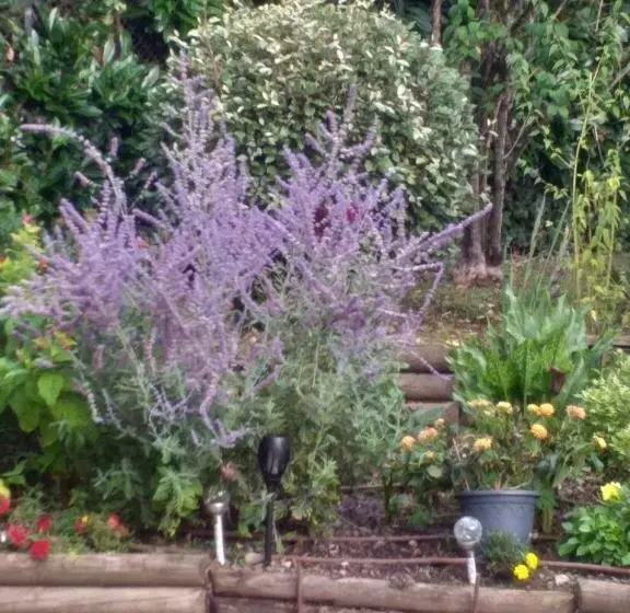 ペンション Le Jardin De Josseline