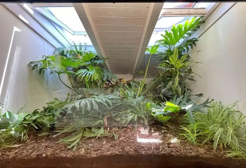 ペンション Via Del Centro Guesthouse