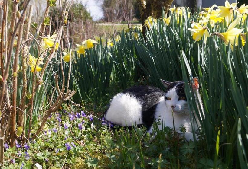 צימר Chambre D’hôtes La Jument Grise