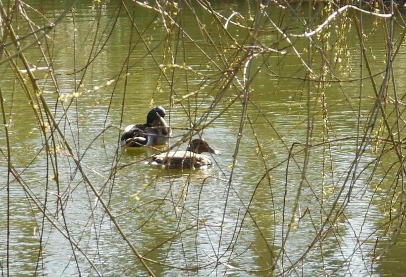 צימר Chambre D’hôtes La Jument Grise