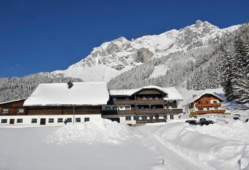 Bed and Breakfast Feichtlehnerhof