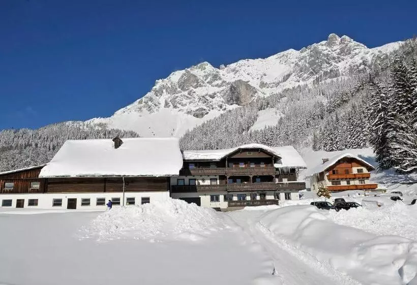 Bed & Breakfast Feichtlehnerhof