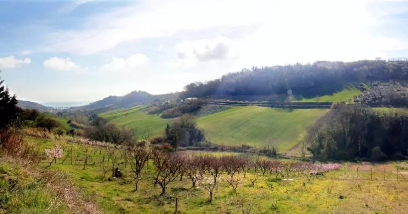 تختخواب و صبحانه Gaeleon Campofilone