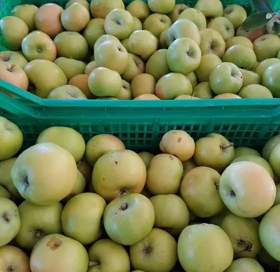 تختخواب و صبحانه Gaeleon Campofilone