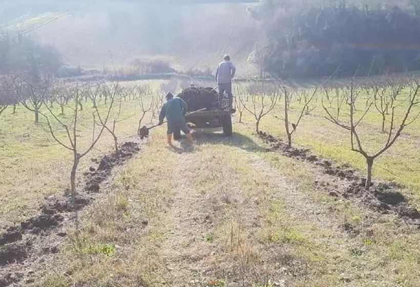 تختخواب و صبحانه Gaeleon Campofilone