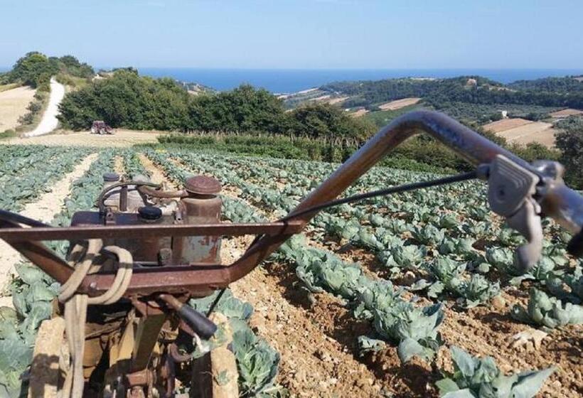 ベッドアンドブレックファースト Gaeleon Campofilone