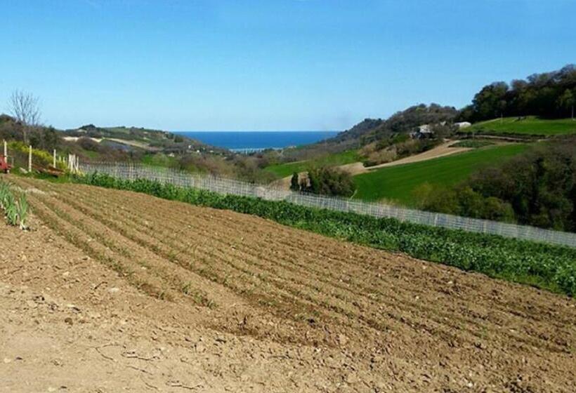 ベッドアンドブレックファースト Gaeleon Campofilone