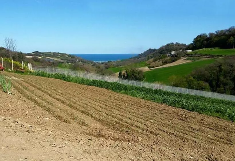 تختخواب و صبحانه Gaeleon Campofilone