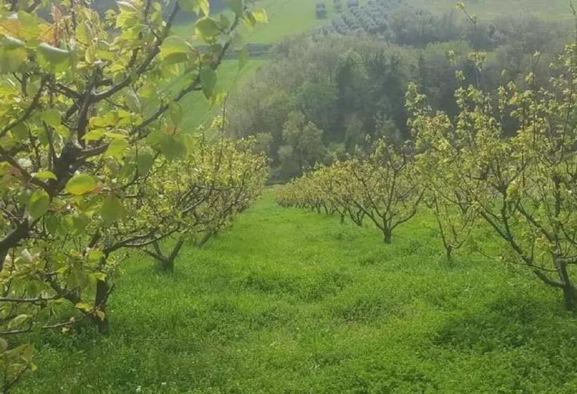 تختخواب و صبحانه Gaeleon Campofilone