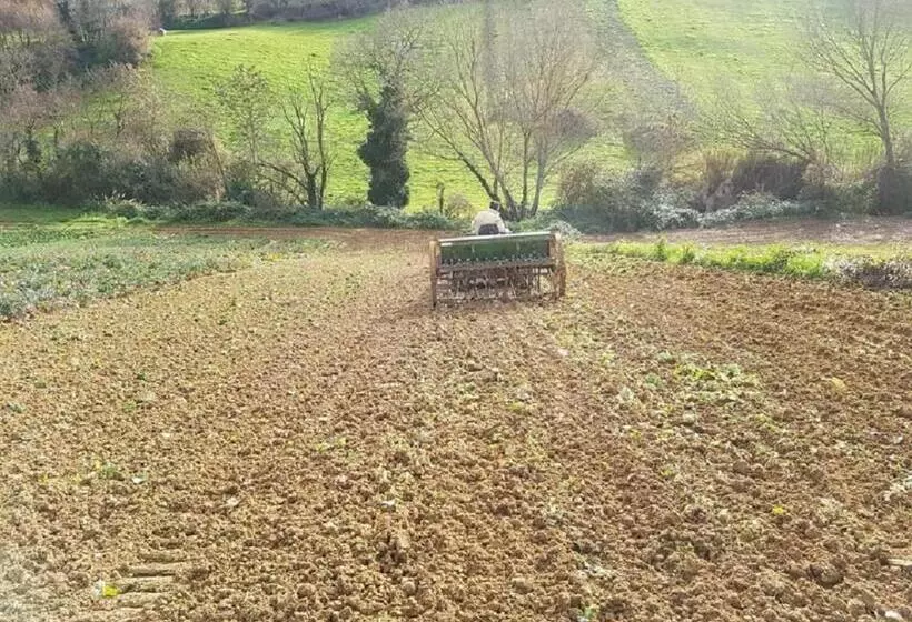 تختخواب و صبحانه Gaeleon Campofilone