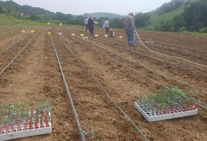 ベッドアンドブレックファースト Gaeleon Campofilone