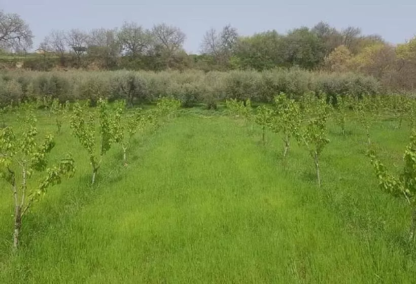 تختخواب و صبحانه Gaeleon Campofilone