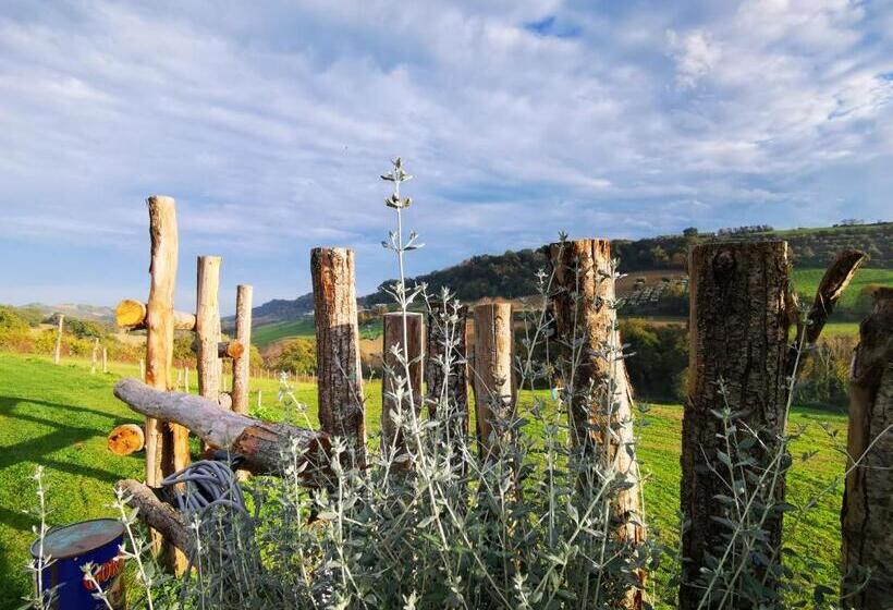 ベッドアンドブレックファースト Gaeleon Campofilone