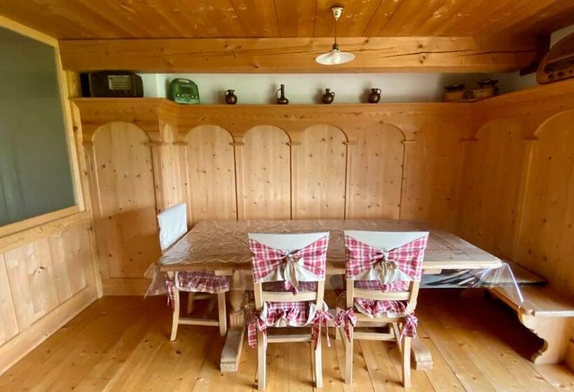 Bed and Breakfast La Tana Del Grillo