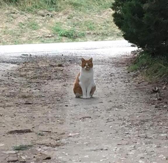 민박 Le Mas Du Pigeonnier