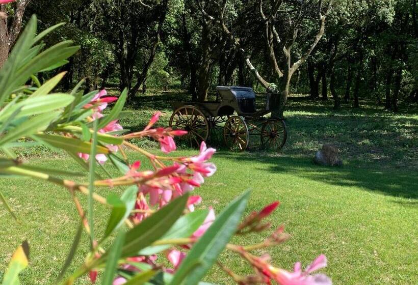 민박 Le Mas Du Pigeonnier