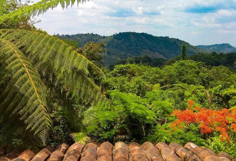 هتل Hospedaje Totalmanik