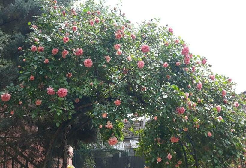 膳宿费 La Maison Rose: Lieu Atypique