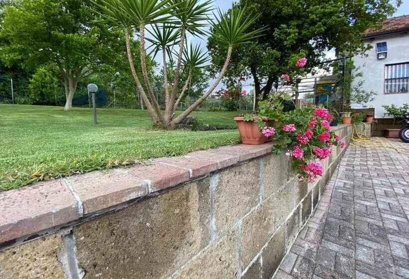 Aamiaismajoitus (B&B) A Casa Di Nonna Emilia