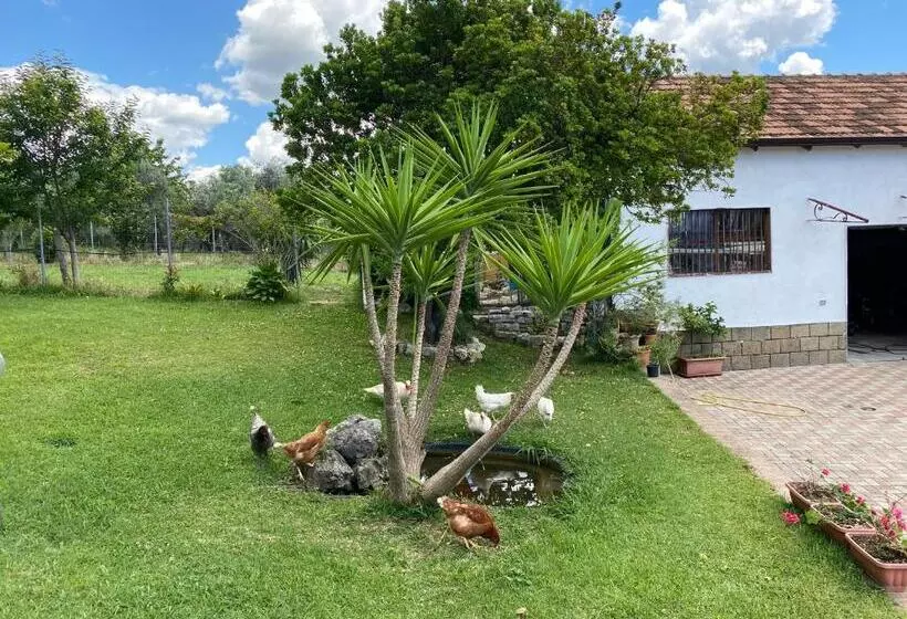 Aamiaismajoitus (B&B) A Casa Di Nonna Emilia