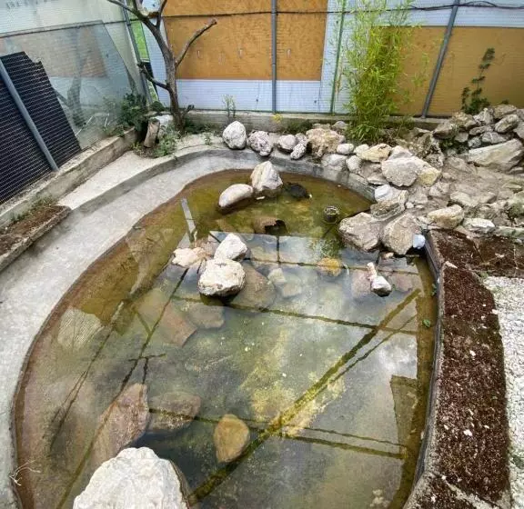 Aamiaismajoitus (B&B) A Casa Di Nonna Emilia