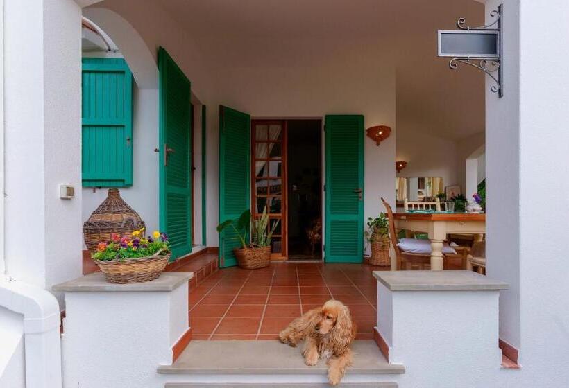 Nocleg ze śniadaniem Bb 1987 Pula