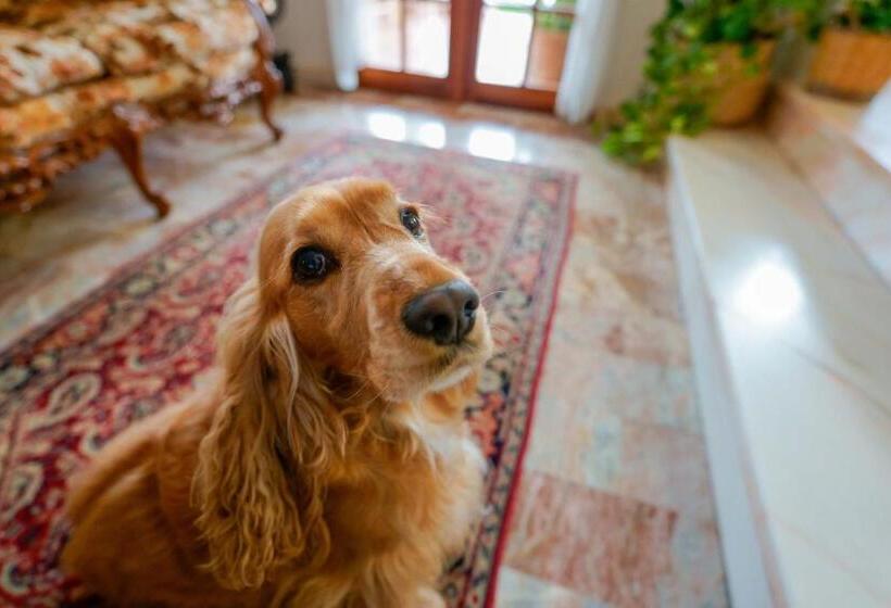 Nocleg ze śniadaniem Bb 1987 Pula