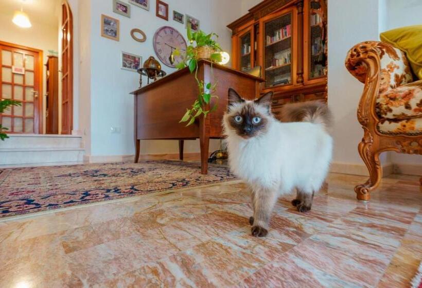 Nocleg ze śniadaniem Bb 1987 Pula