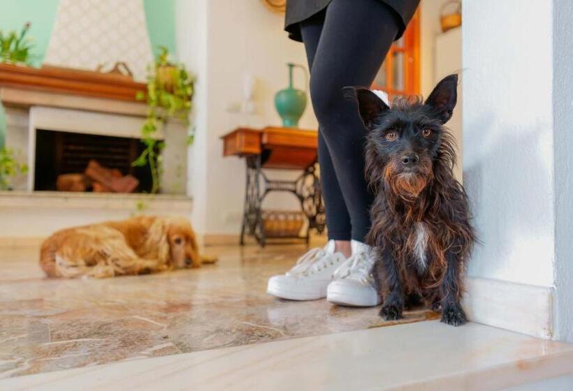 Nocleg ze śniadaniem Bb 1987 Pula