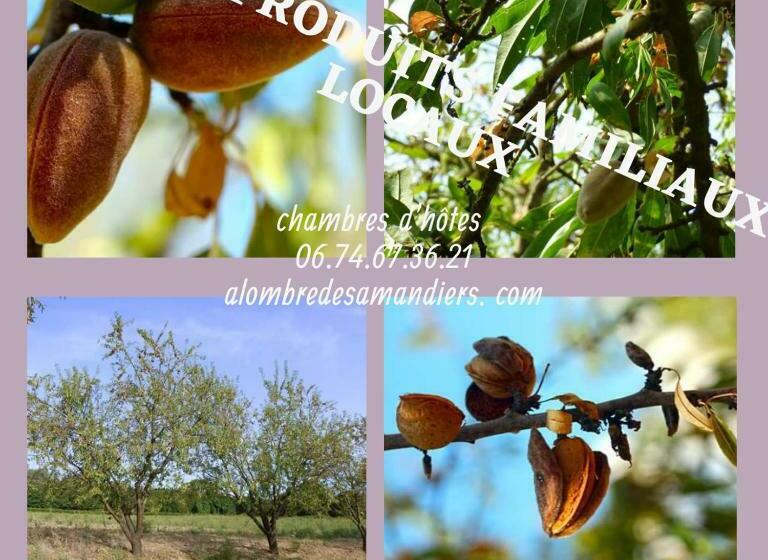 צימר Chambres D Hôtes & Jacuzzi   A L Ombre Des Amandiers