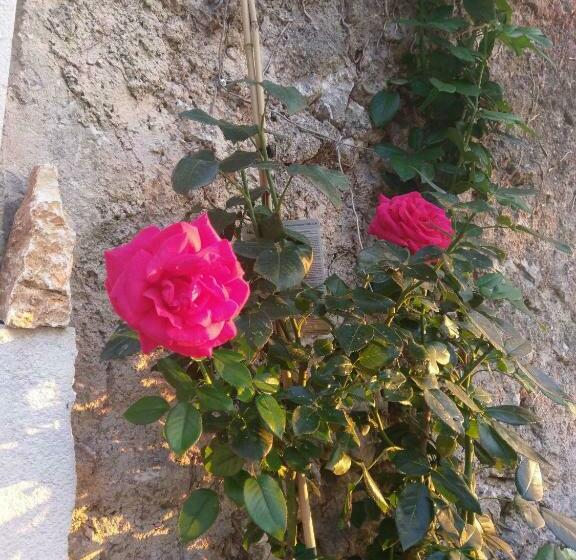 ベッドアンドブレックファースト La Chambre De Seraphin