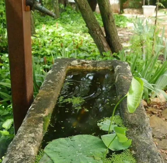 Aamiaismajoitus (B&B) La Chambre De Seraphin