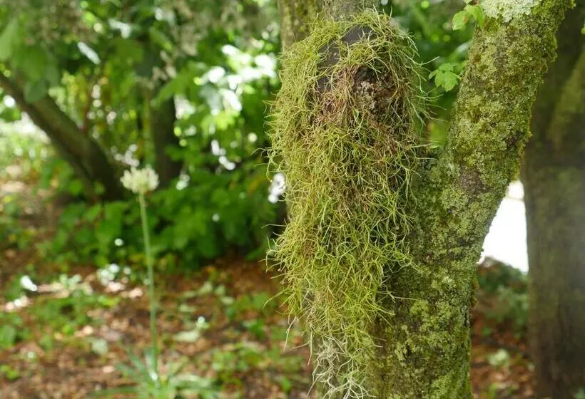 Aamiaismajoitus (B&B) La Chambre De Seraphin
