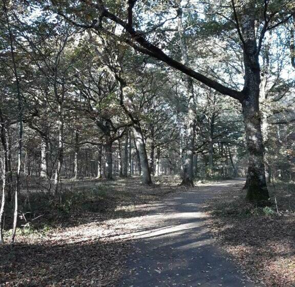 تختخواب و صبحانه Les Prunelliers